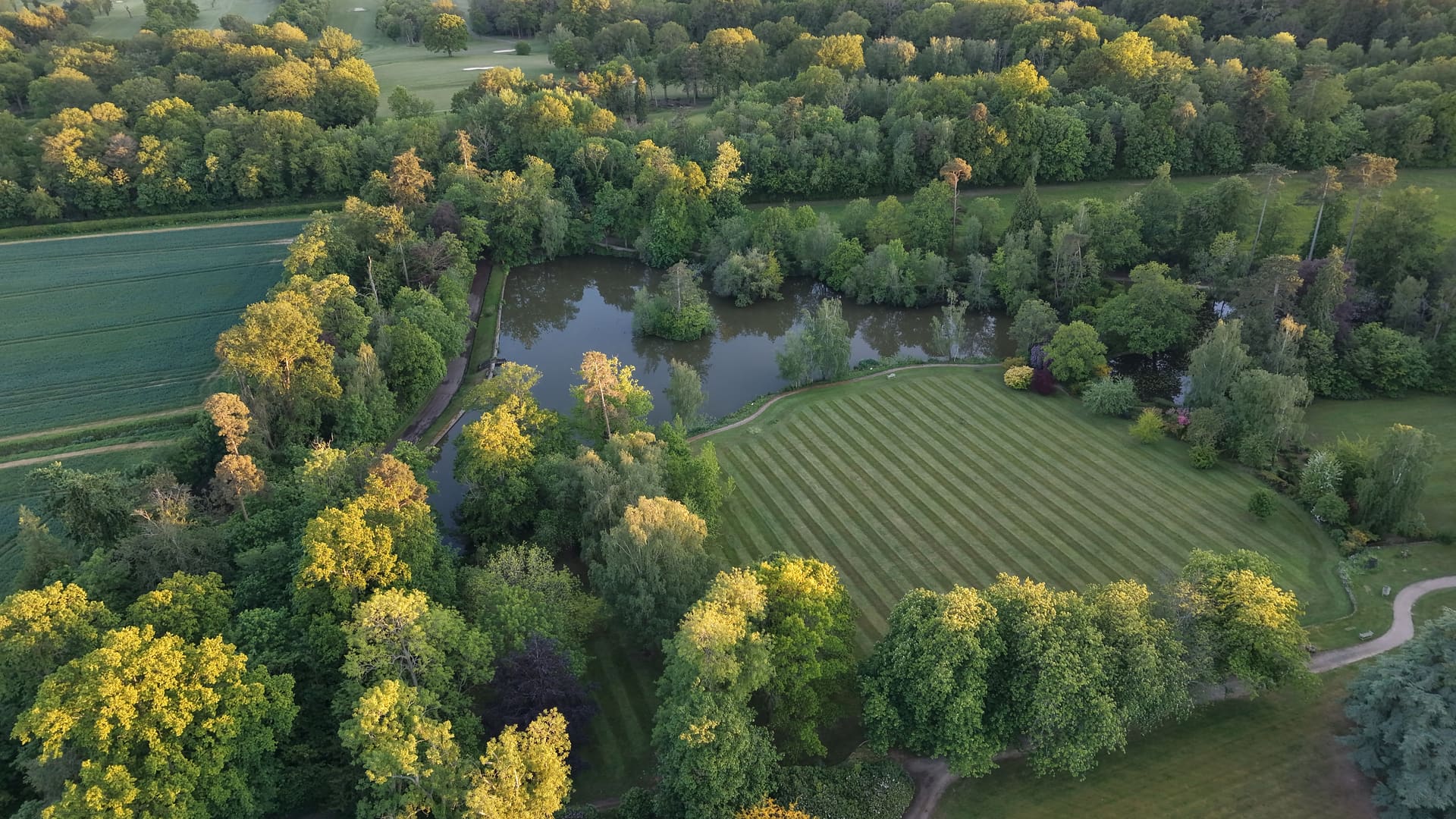 A garden, striped lawn and all, from directly overhead.